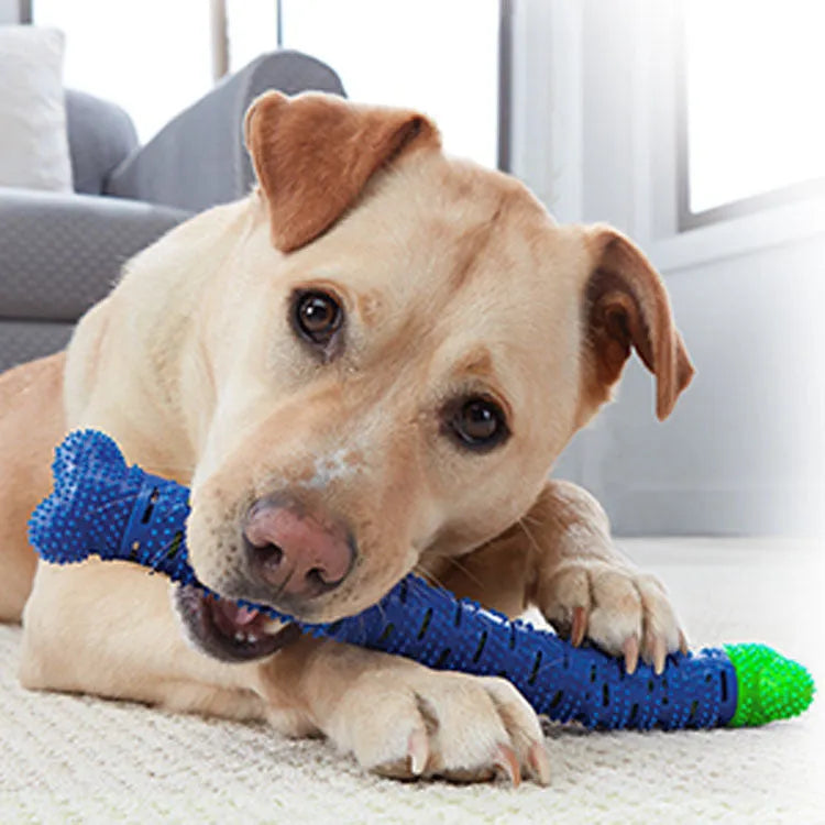 Blue Green Pet Molar Tooth Cleaner, a 25cm silicone brushing stick with serrated head and crevice for dog teeth cleaning