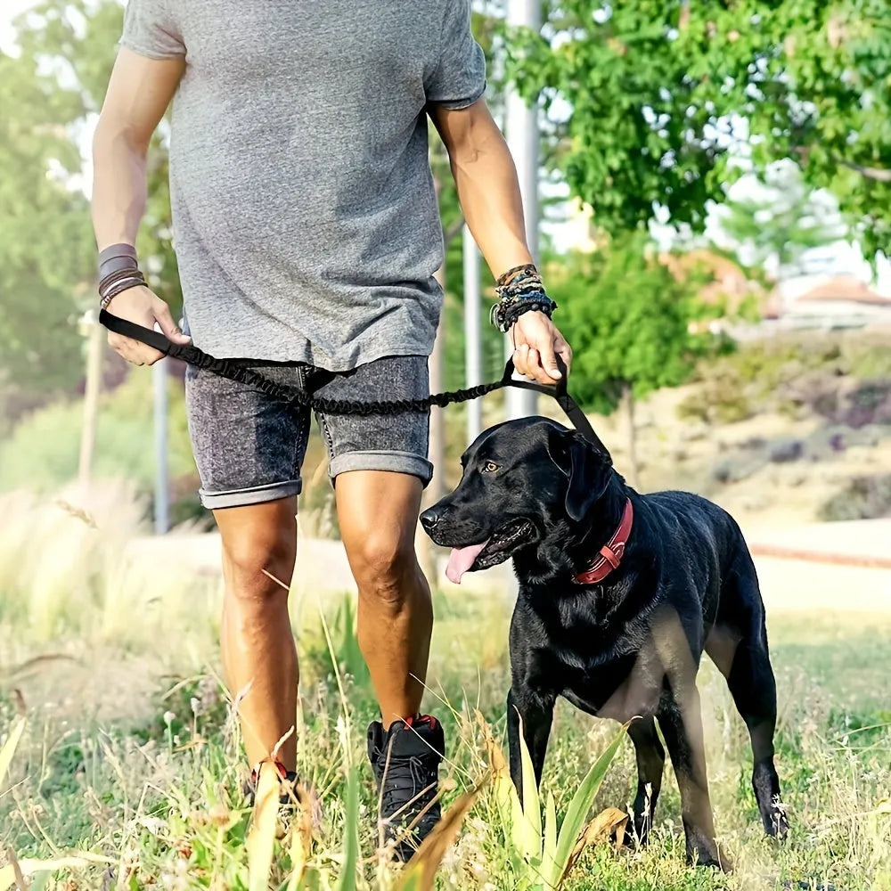 Retractable dog leash with ergonomic handle in black, green, or khaki, showing extended 5m cord.