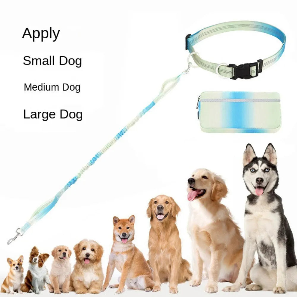 Adjustable hands-free dog leash with waist belt, chest strap, and reflective traction rope in four colour options