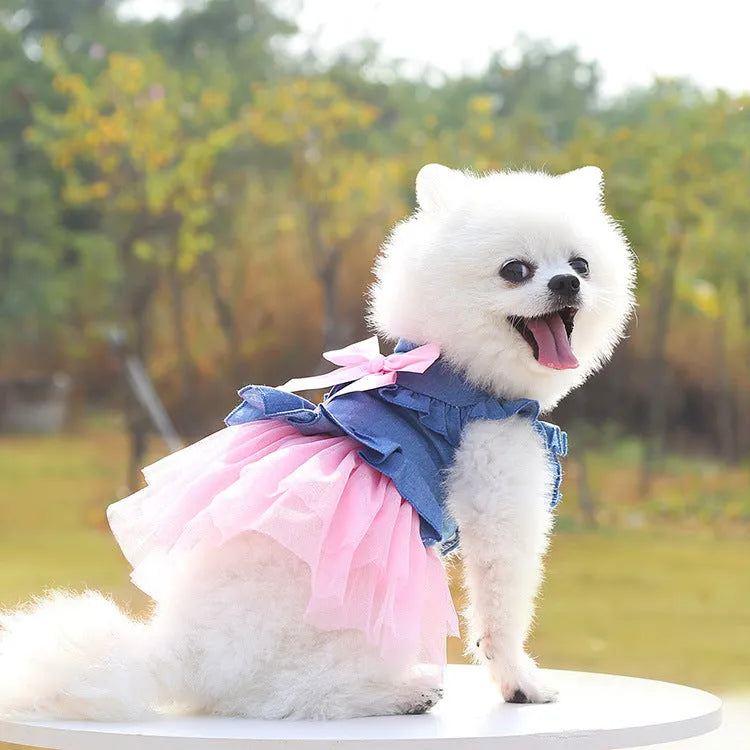 Korean-style denim dog skirt with bow detail in white or pink yarn, shown on a model dog.