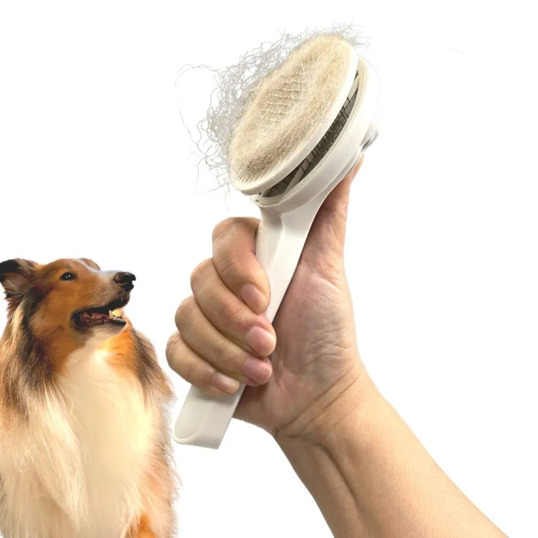 Self-cleaning slicker brush for dogs and cats with stainless steel pins and ergonomic handle