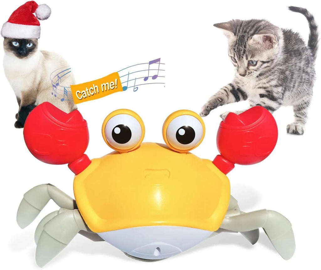 Blue or red crawling crab dog toy with lights, measuring 21.5cm long, for interactive pet play