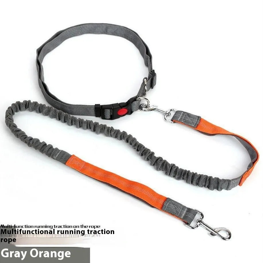 Grey and green nylon dog leash with elastic and reflective strips, shown with a 2.5cm width measurement.