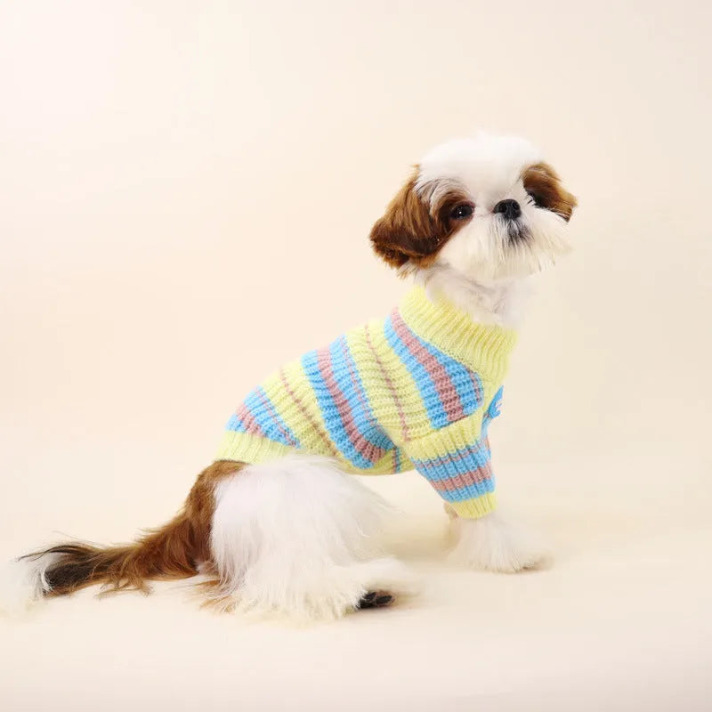 Blue and yellow striped wool sweater for small dogs on a white background