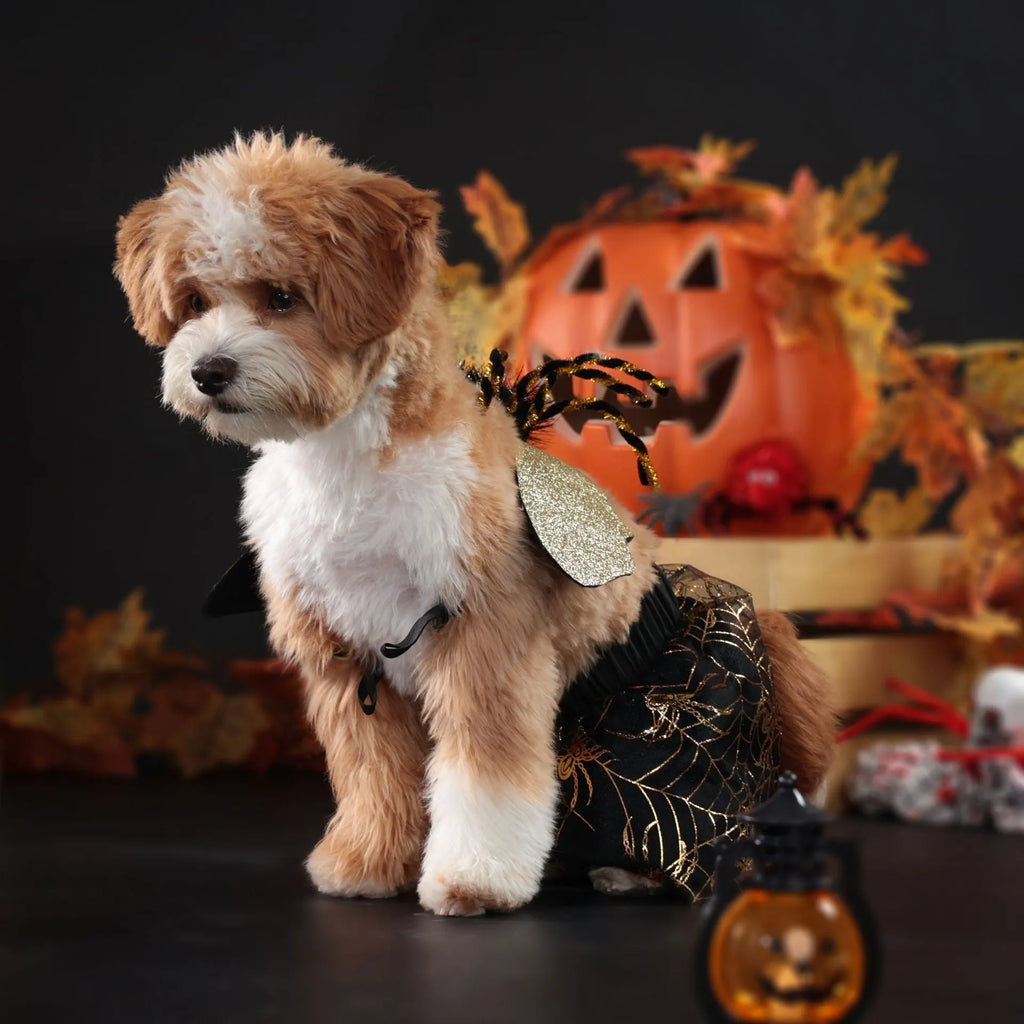 Polyester Halloween dog suit in a full-body design, available in sizes S, M, L, and XL for various dog breeds.