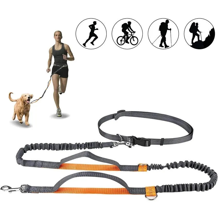 Adjustable nylon dog leash in fluorescent green, orange, and light blue, one size, for walking and jogging
