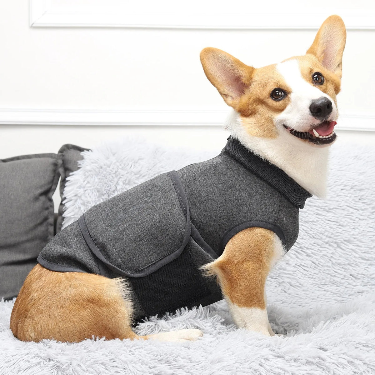 Grey pet mood soothing clothes for cats and dogs in cotton polyester, sizes XS to XXXL