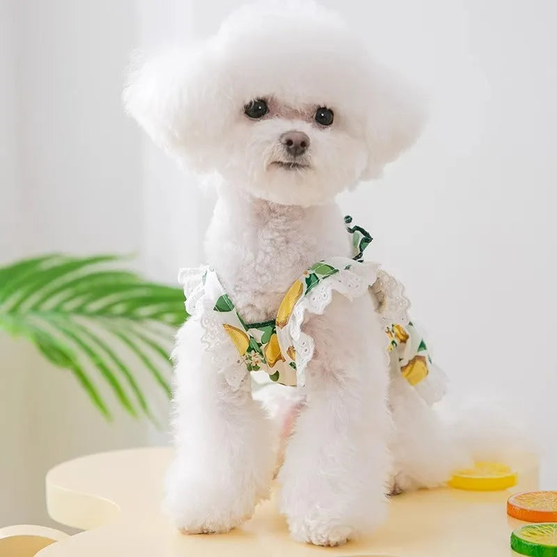Rock yellow lemon polyester dog dress with adjustable strap skirt on small dog