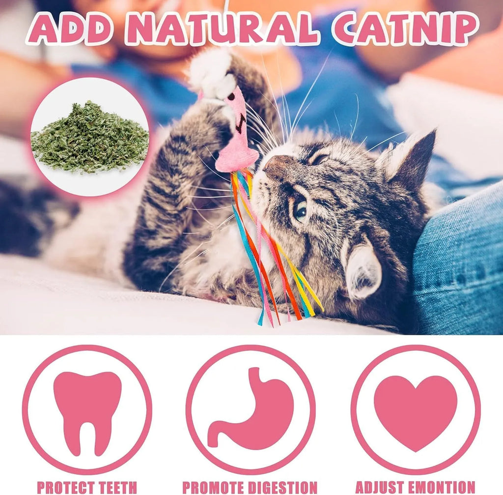 Cat wand toy with wooden handle, colourful ribbons, catnip attachment, and bell for interactive feline play