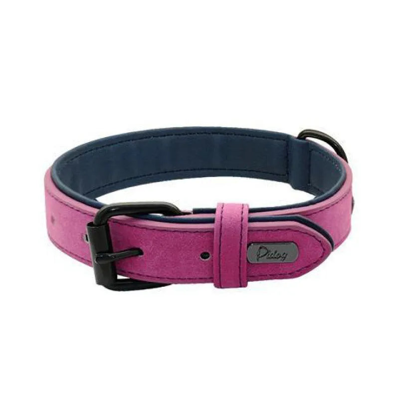 Adjustable dog collar with double-layer thickening in purple colour showing buckle and material texture