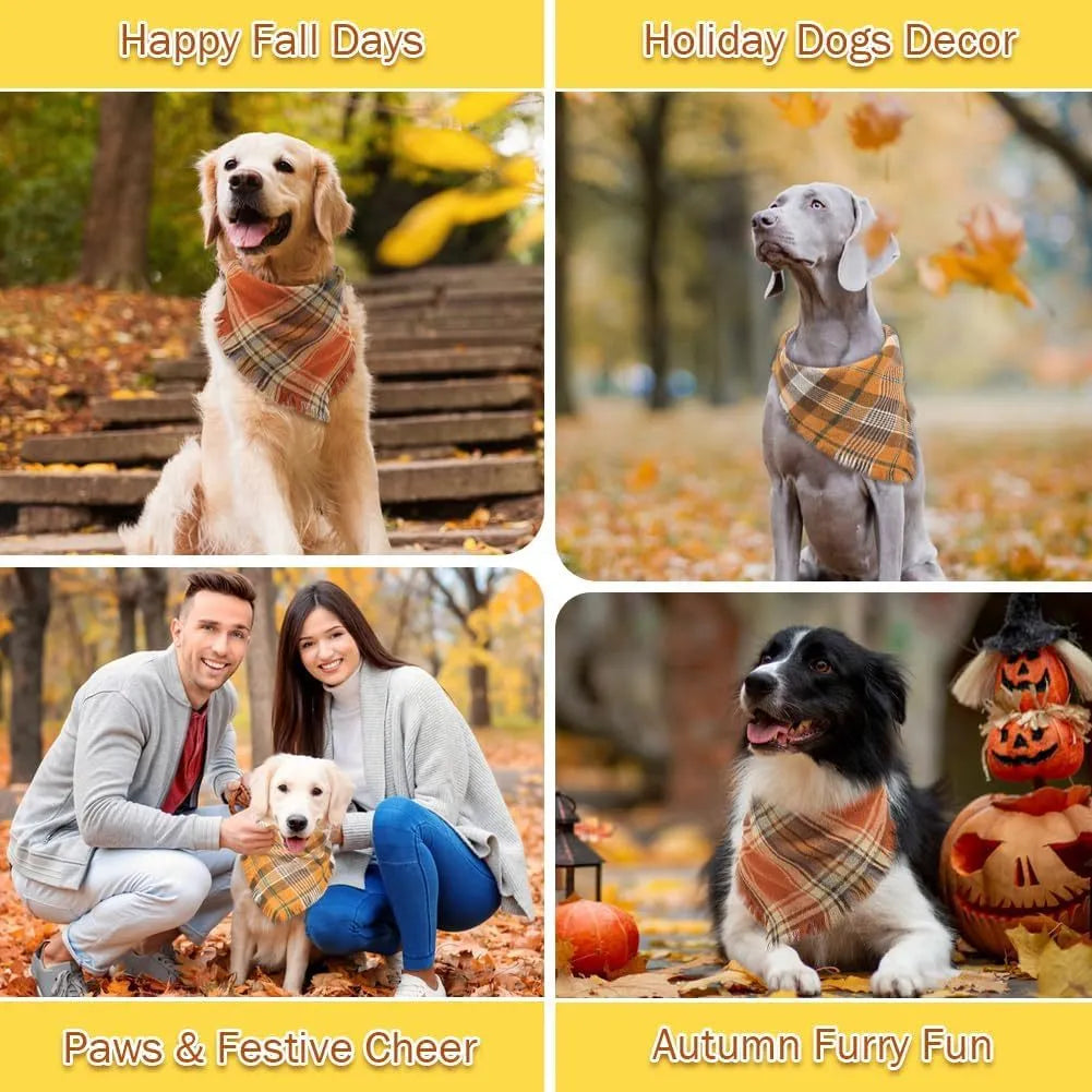 Plaid triangle dog bandana with tassel edges in autumn colours on a dog's neck.
