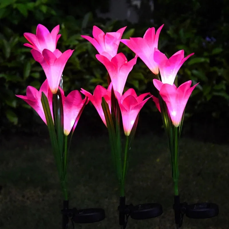 Solar-powered flower-shaped lawn lamp for garden lighting with colour LED lights