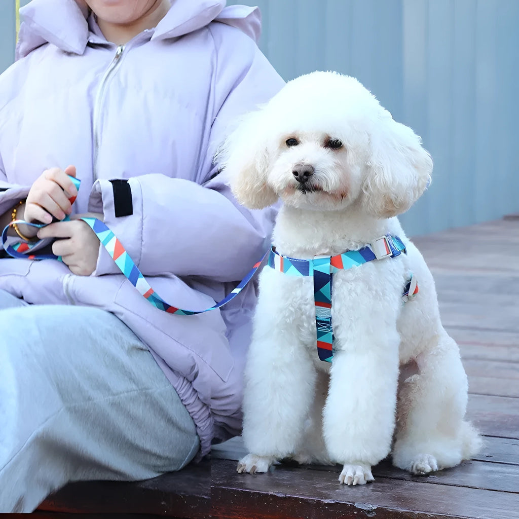 Blue polyester dog harness and retractable leash walking set shown on a dog