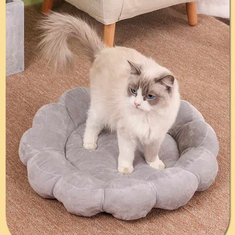 Blue half-surrounded plush pet bed with multi-colour petals, measuring 50x50cm, for cats and small dogs.
