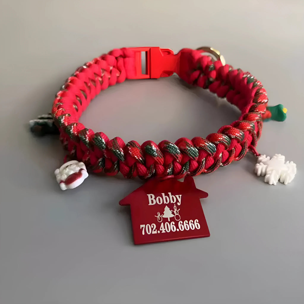 Green P chain dog leash with braided nylon handle and POM release buckle for medium dogs
