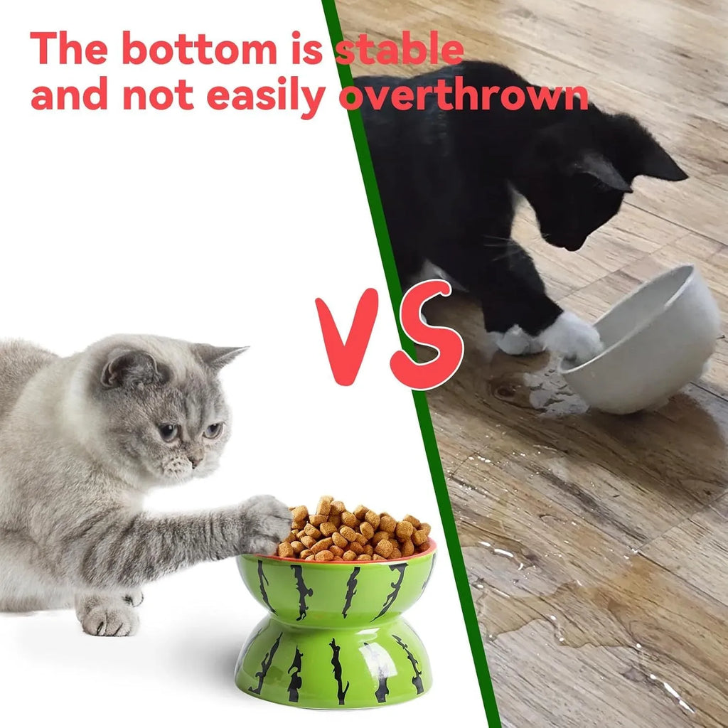 Ceramic raised cat bowl with tilted design, 5-inch height, and patterned surface for indoor pets