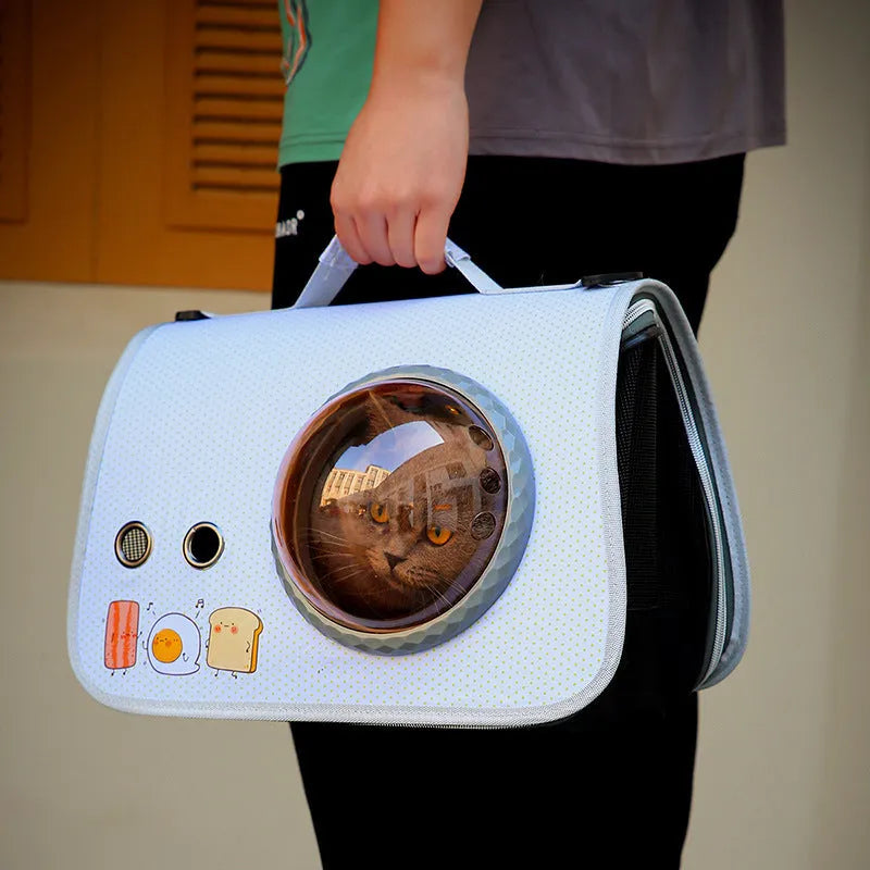 Transparent portable cat carry bag with cartoon pattern, 12kg capacity nylon pet carrier