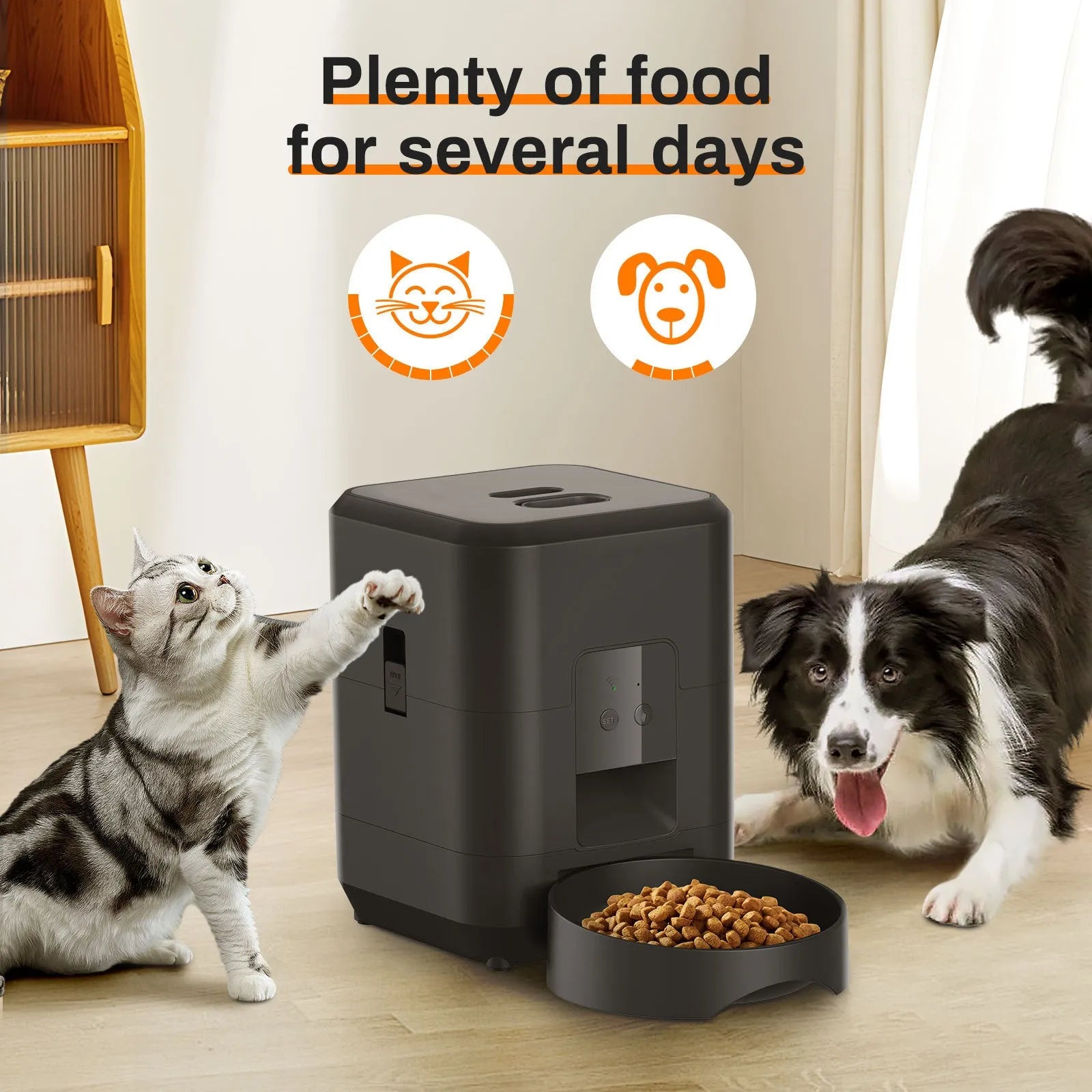 Automatic pet feeder in white or black with WiFi and button control options for cats