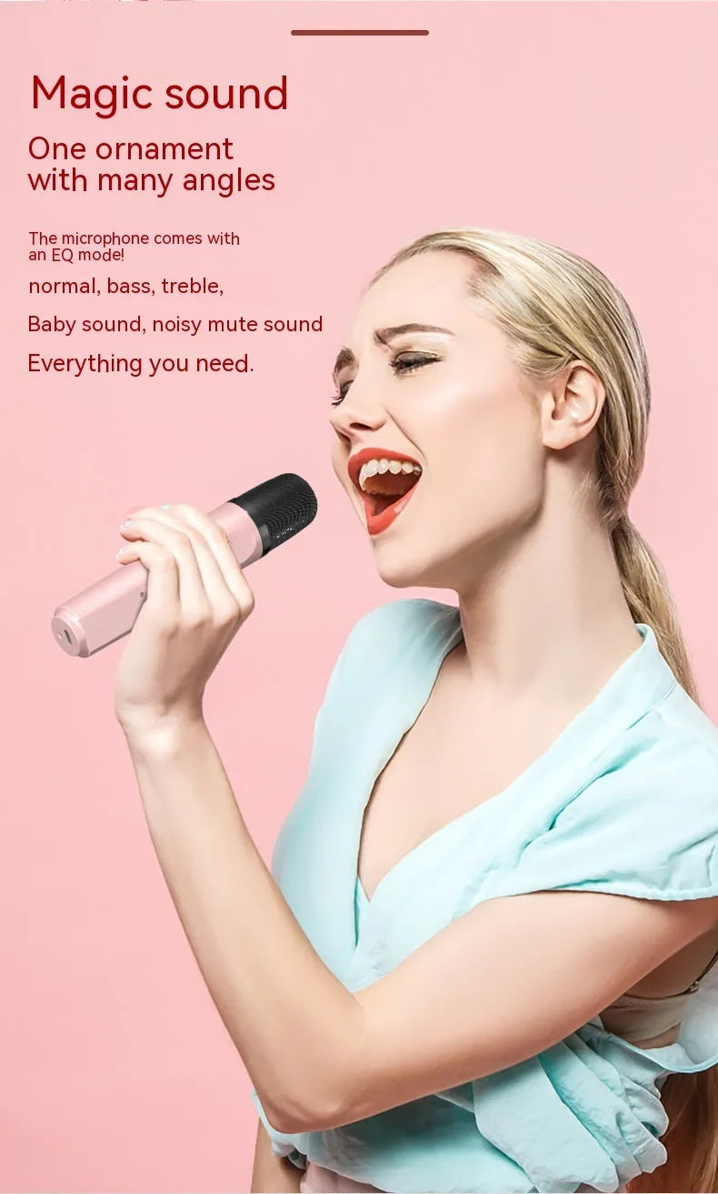 Portable Bluetooth karaoke speaker in black with two wireless microphones, 15W output, RGB rhythm light, and iron mesh front.