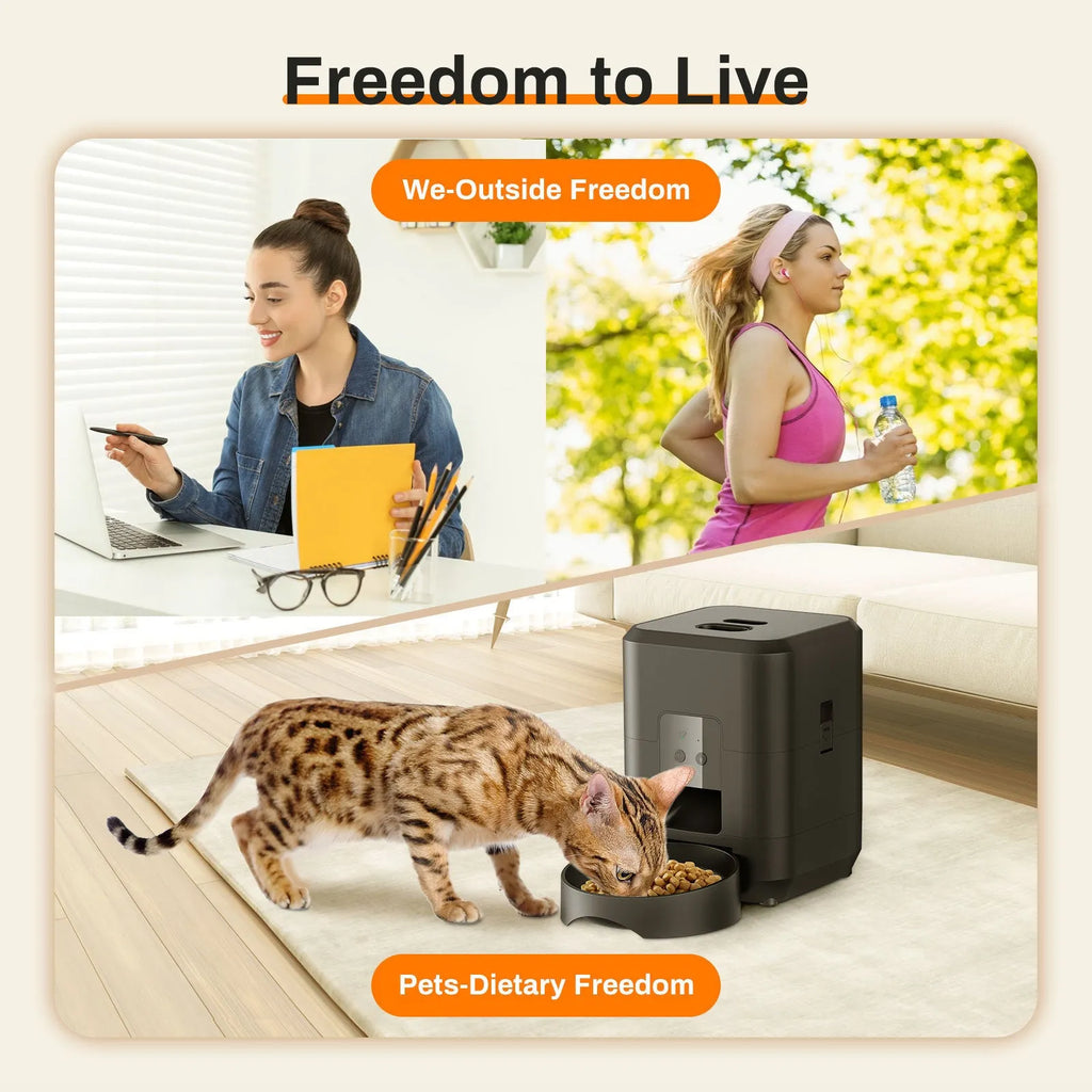 Automatic pet feeder in white or black with WiFi and button control options for cats