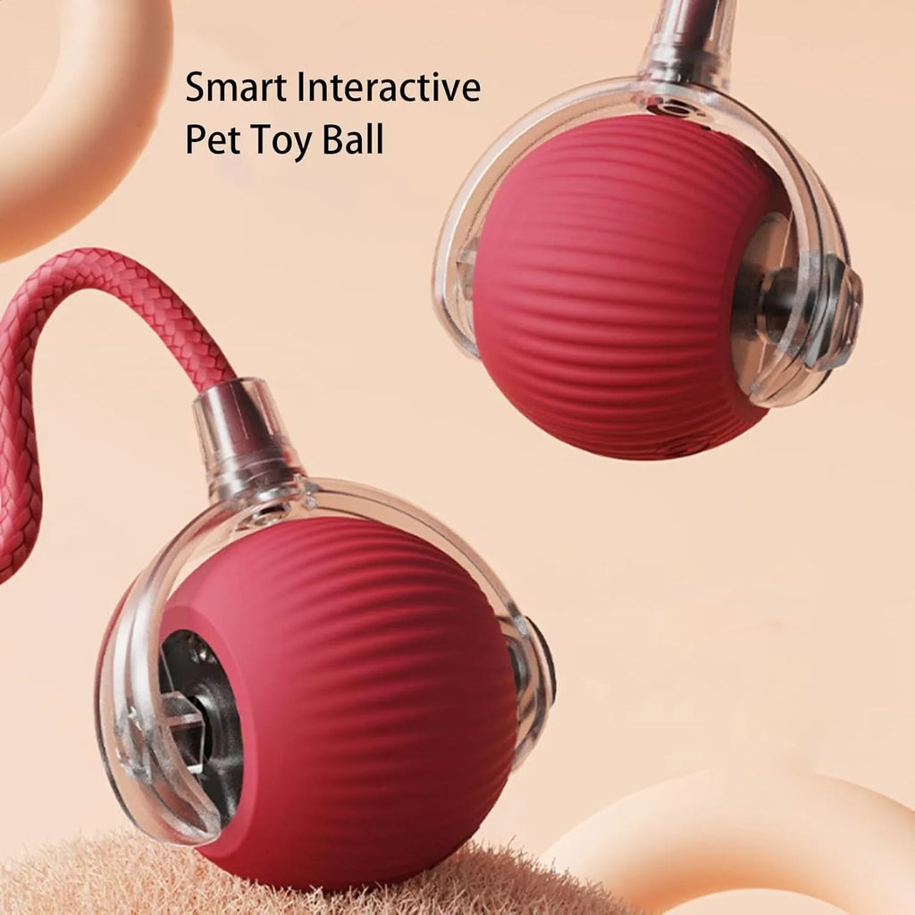 Grey automatic rolling pet ball toy with rope tail, 6.5cm diameter