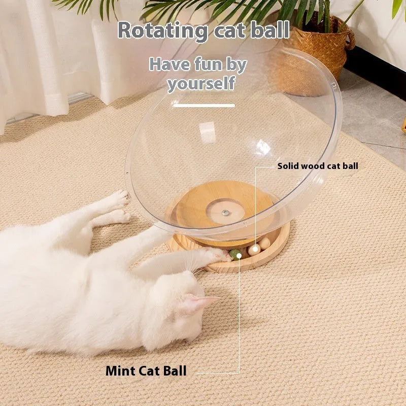 Transparent acrylic space capsule cat bathtub pet bed with turntable design