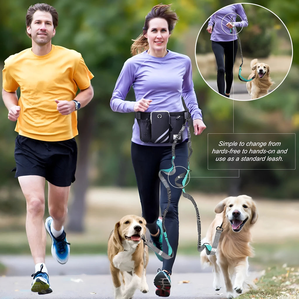Black nylon outdoor dog walking set with adjustable waist bag and attached leash