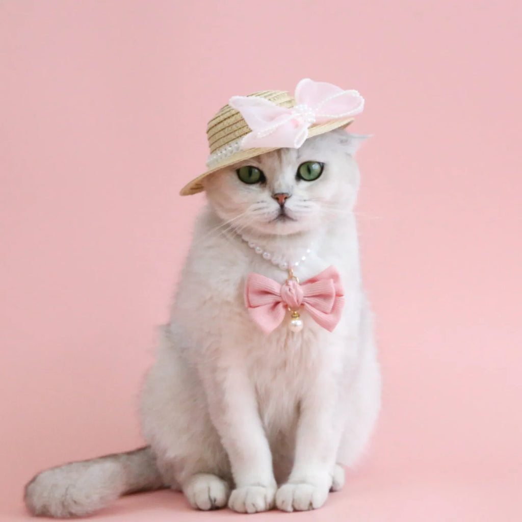 Pet cat wearing a straw hat with pearl bow in blue, sizes 13cm and 15cm, made from Lafite leaves.