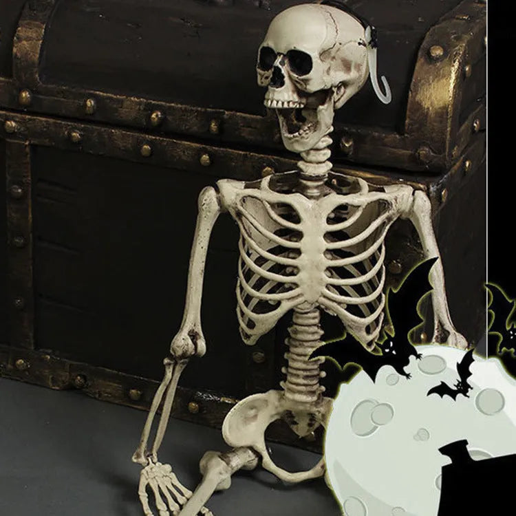 170cm white plastic skeleton model with articulated joints showing detailed anatomical bone structure