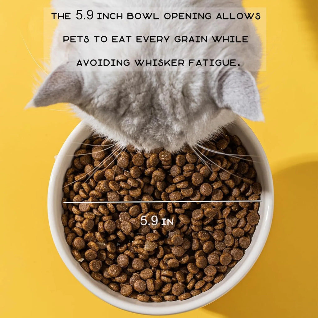 Raised ceramic cat bowl with animal design, showing 4.92-inch elevation and 5.9-inch wide opening for whisker-friendly feeding