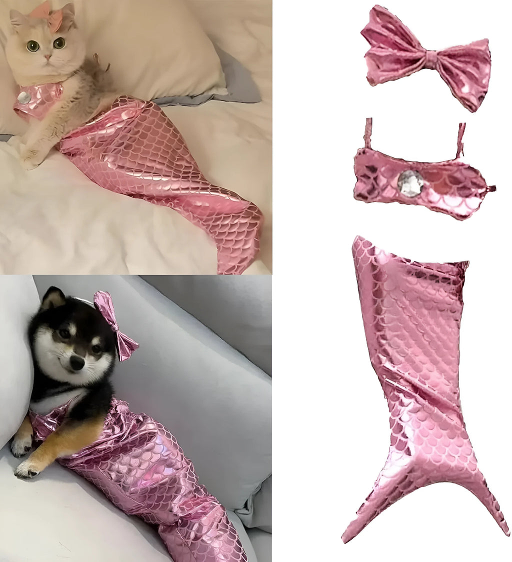 Blue pet mermaid costume with fishtail and elastic chest strap on a small cat