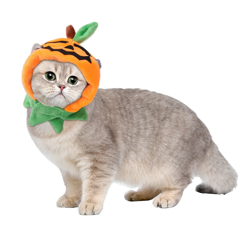 Halloween pumpkin double-sided dog cloak cat costume in plush material