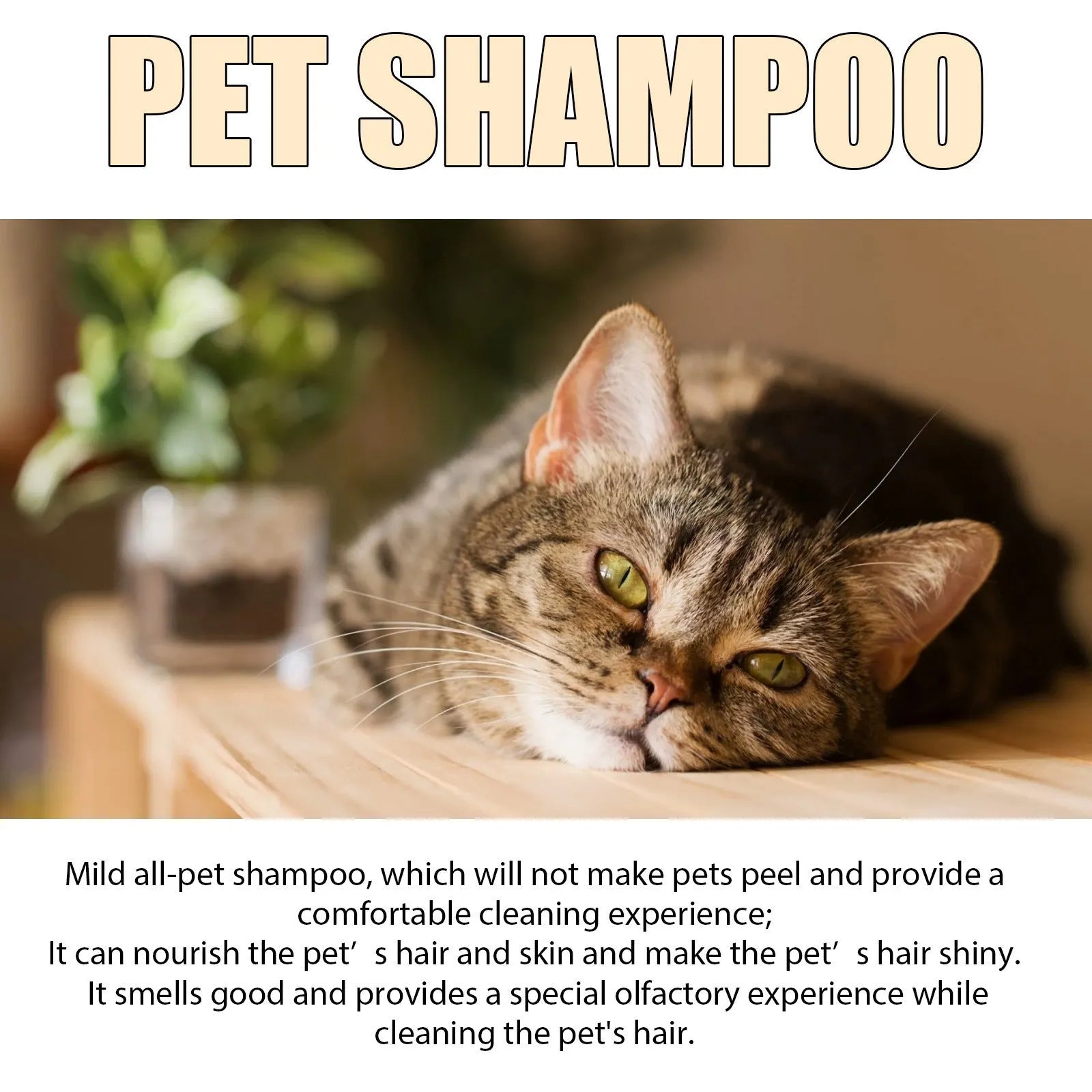 Dog shampoo bottle in 100ml and 300ml sizes with mild formula for cleaning and reducing coat tangles