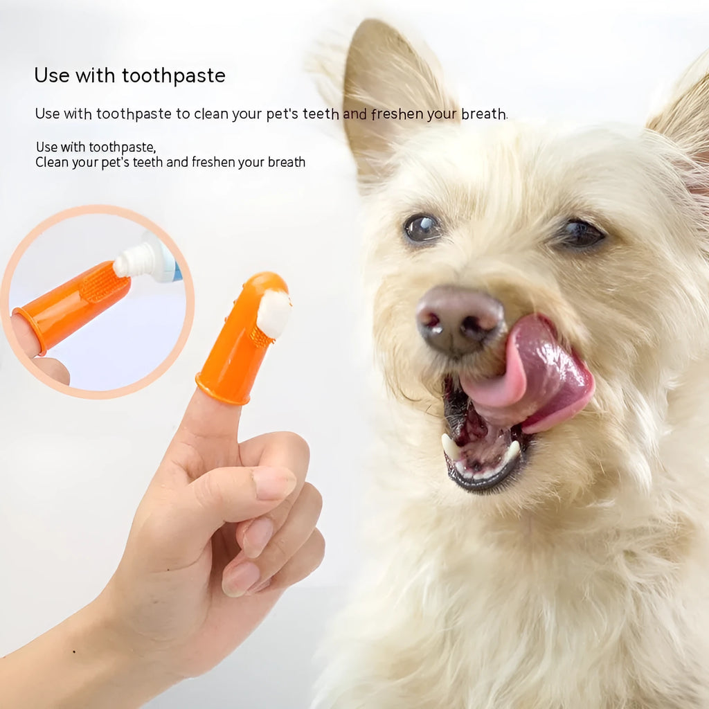 Pet finger toothbrush set for cats and dogs, TPR, boxed set of 4 pieces