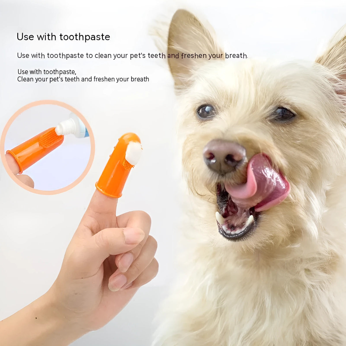 Pet finger toothbrush set for cats and dogs, TPR, boxed set of 4 pieces