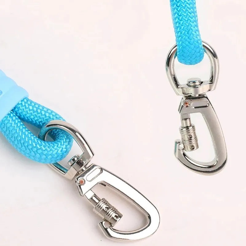 Nylon dog traction leash with foam handle showing black, light purple, sky blue and yellow colour options