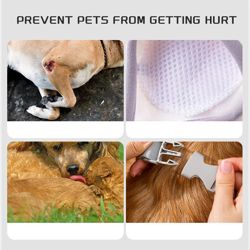 Blue dog knee protector with adjustable buckle and matching scarf on medium-sized dog