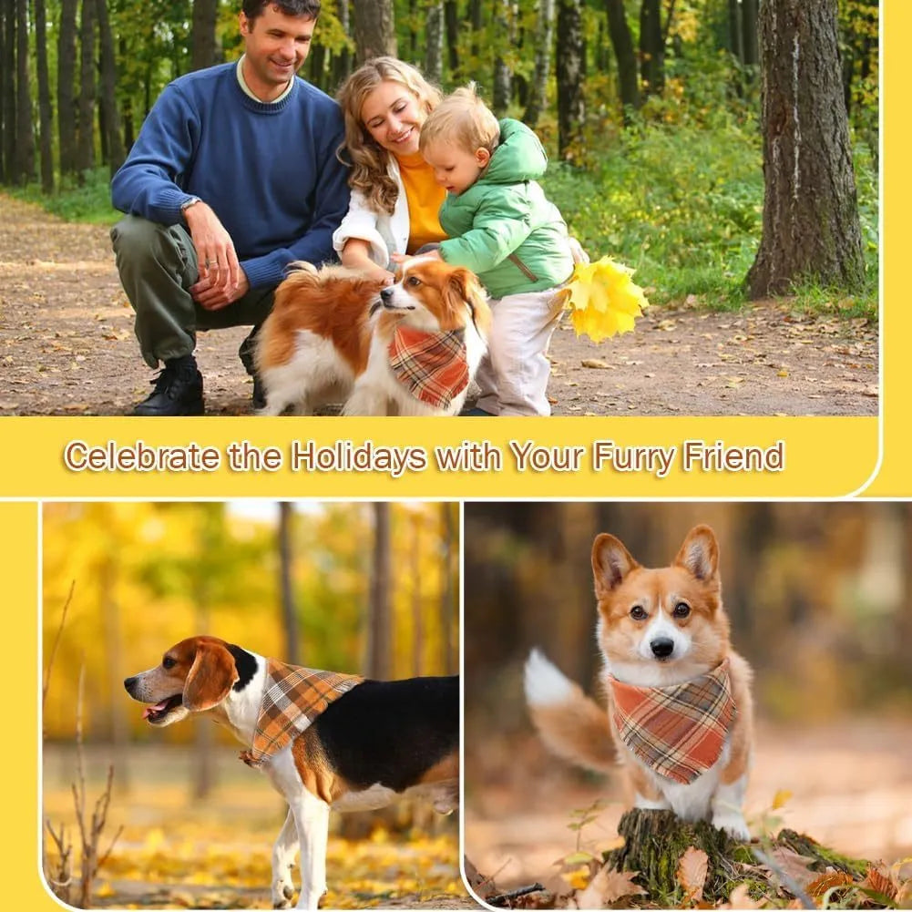 Plaid triangle dog bandana with tassel edges in autumn colours on a dog's neck.