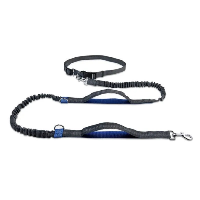 Multifunctional pet traction rope leash in fluorescent green colour with adjustable waist belt and retractable running belt components