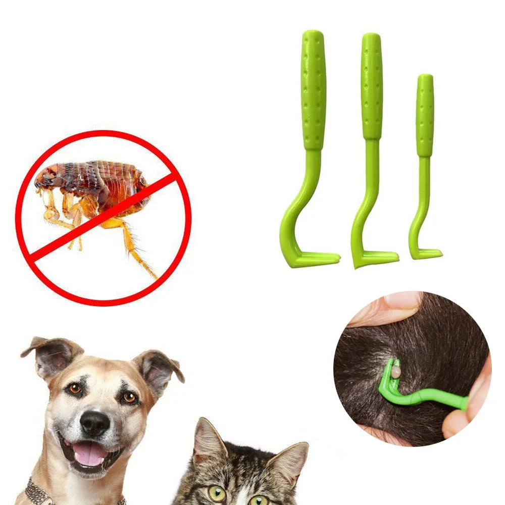 Three plastic tick removal hooks in blue and green colours for pet grooming, shown with size scale.