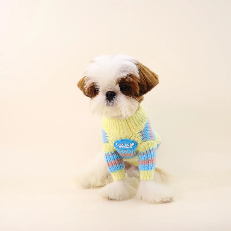 Blue and yellow striped wool sweater for small dogs on a white background