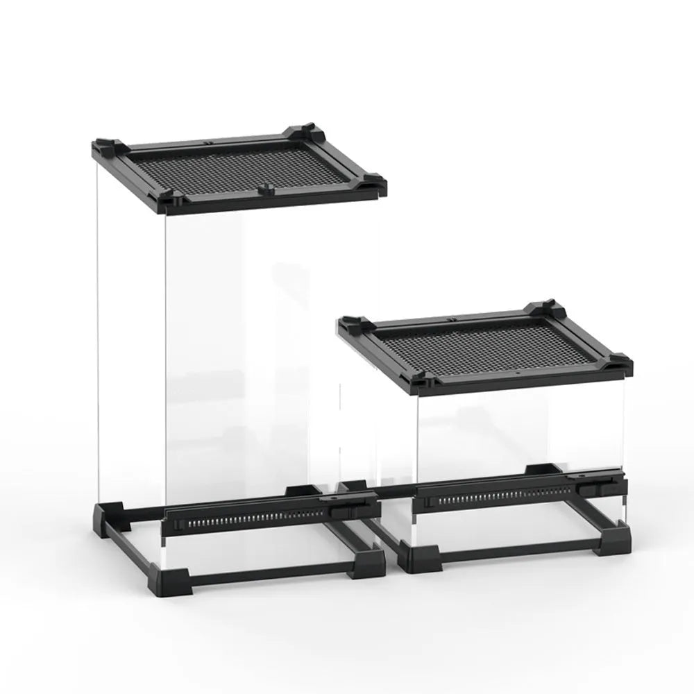 Transparent glass cylinder habitat for lizards and turtles on a white background.