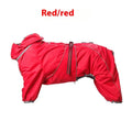 Dog wearing cotton-padded polyester jacket in sporty style available in four colours