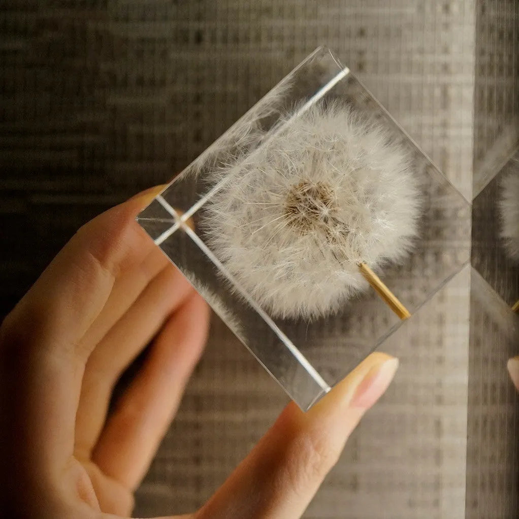 Clear resin cube with preserved dandelion flower beside wooden box and USB charging base