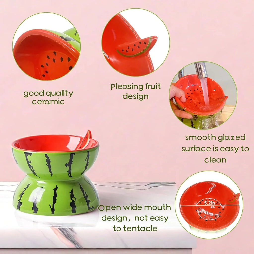 Ceramic raised cat bowl with tilted design, 5-inch height, and patterned surface for indoor pets