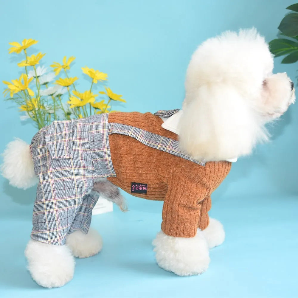 Orange cotton dog suit shirt on small dog with collar visible