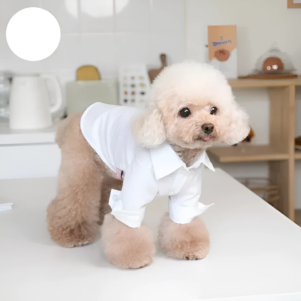 White formal autumn and winter pet shirt for dogs and cats, sizes 2XS to 3XL, cloth and shirt lining