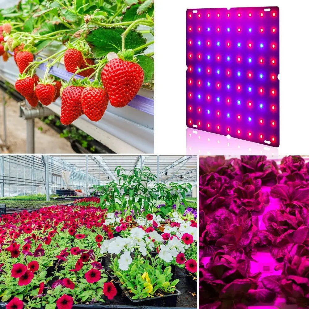 D-section aluminium LED grow light panel for indoor fruit and vegetable plants with UK plug