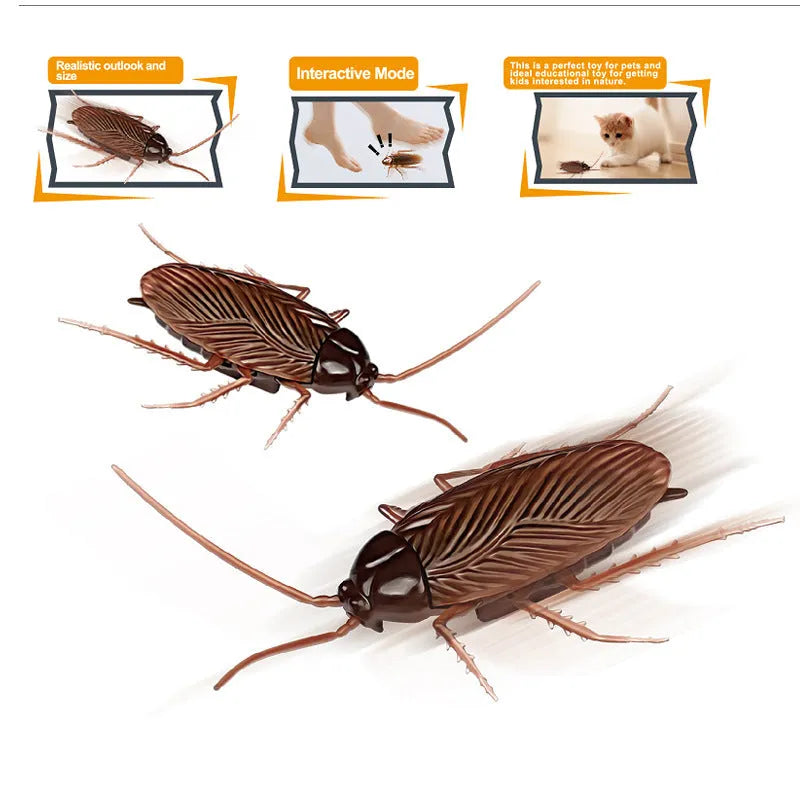 Electric vibration walking toy for pets in cockroach, tarantula, mouse, or dragonfly designs
