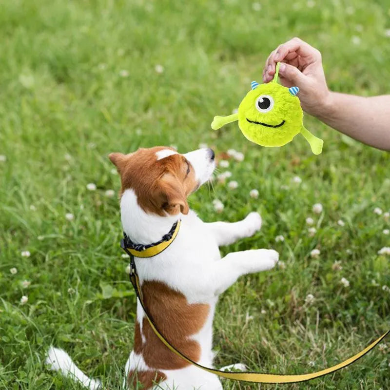 Green interactive dog ball toy with squeaker for teething and play, measuring 12 cm in diameter
